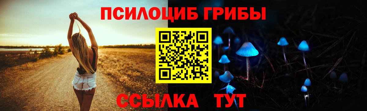 Галлюциногенные грибы мухоморы  Вход с VPN  где найти наркотики  Псилоцибиновые грибы MAGIC MUSHROOMS  Абакан 